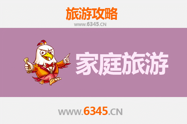 呼和浩特回民家庭文化探索之旅：美食与历史的完美融合